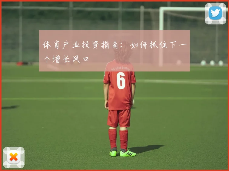 体育产业投资指南：如何抓住下一个增长风口